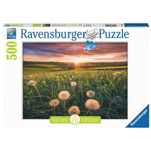 Dandelions at Sunset